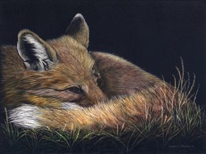 Quiet Moments