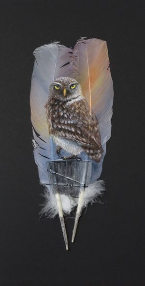 Sassy (Burrowing Owl)
