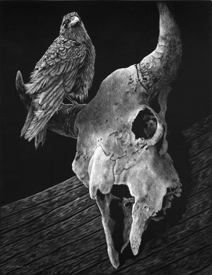 Tattered and Worn