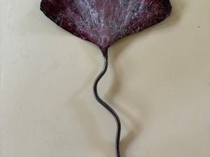 Ginkgo
