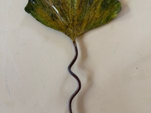 Ginkgo