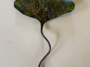 Ginkgo