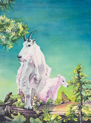 Prowess of Mountain Goats-Elkhorn Crest