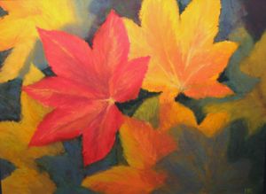 Red Maple