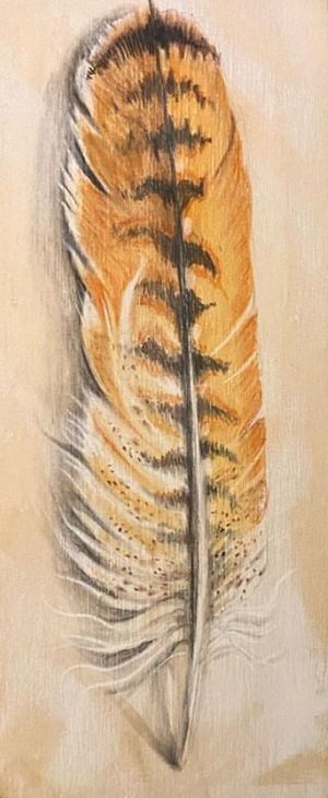 Red Tail Hawk Feather