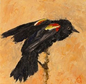 Redwinged Blackbird Study