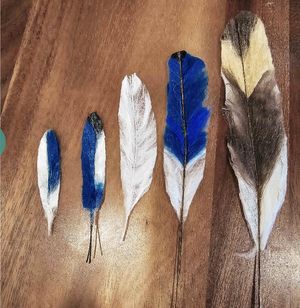 Feathers in Fiber!