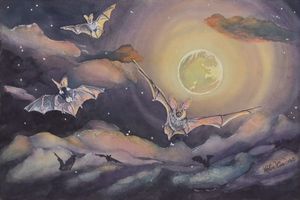 Spotted Bat Moondance