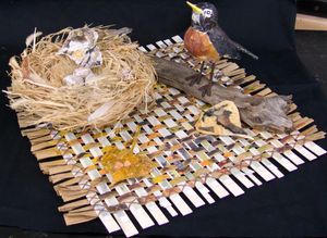 Spring Bird Song