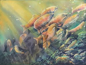 Swimming the Gauntlet-Salmon