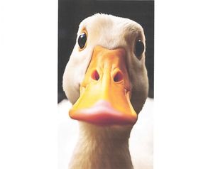 Watercolor Critters on Miniature Wrapped Canvas