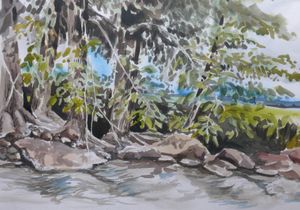 Water's Song