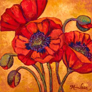Glowing Poppy