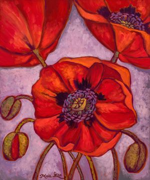 Misty Poppies