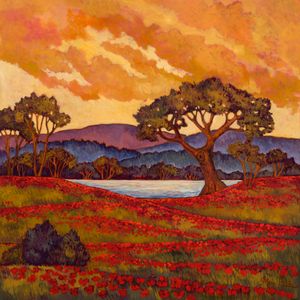 Red Poppy Sunset