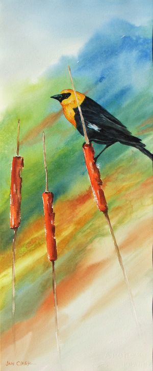 A Yellow-Headed Black Bird Moves in the Breeze