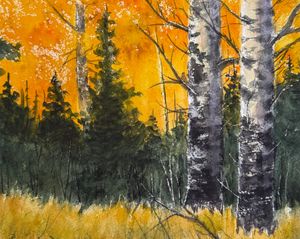 Aspen Glow