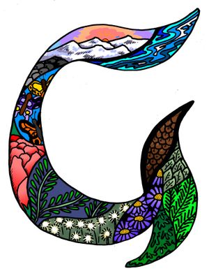 Calligraphy Part 3 Illuminated Letters
