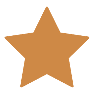 BRONZE Sponsorship