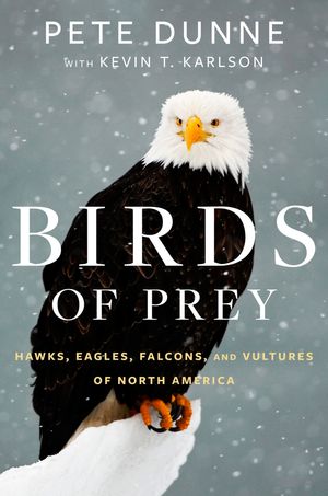 Birds of Prey: Hawks, Eagles, Falcons, and Vultures of North America 30% off