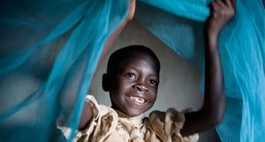 One Mosquito Net