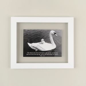 Vintage Swan Print - Floating Frame