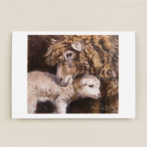 Sheep Notecards