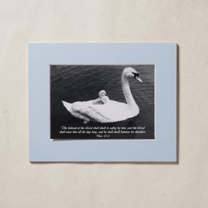Vintage Swan Photo with Bible Verse - Matted