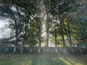 Contribute to the PHA end-of-year appeal