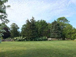 Support the Tim Boland Plant Research and Education Fund