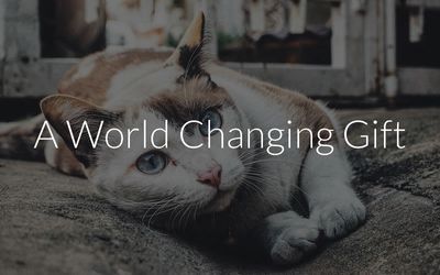 World Changer eCard: Cat