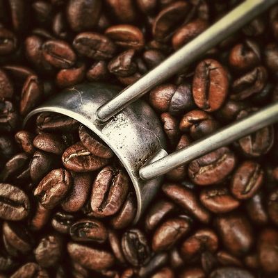 Fair Trade Coffee