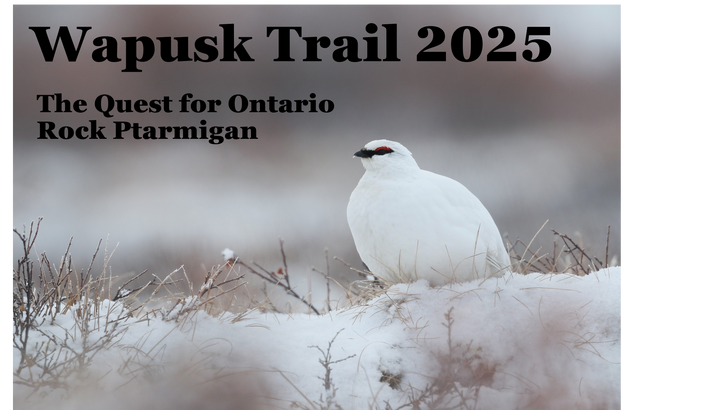 Wapusk Trail 2025