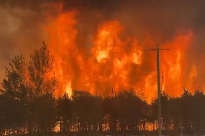 Emergency Relief for Northern Ontario First Nations Wildfires