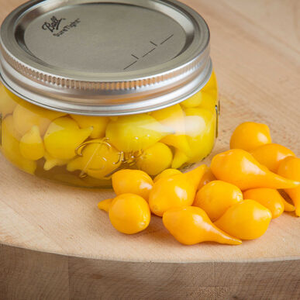 Hot - Biquinho Yellow