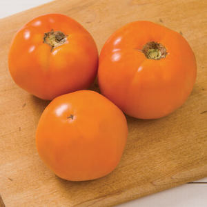 Heirloom - Chef's Choice Orange