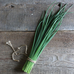 Chives