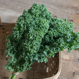 Kale - Darkibor