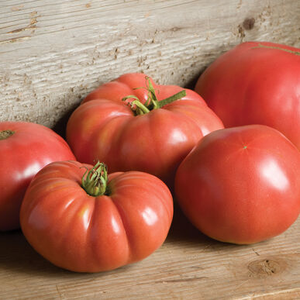 Heirloom - German Johnson
