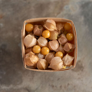 Ground Cherry - Goldie