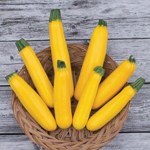 Summer Squash - Goldy Zucchini