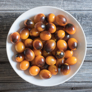 Cherry - Indigo Kumquat