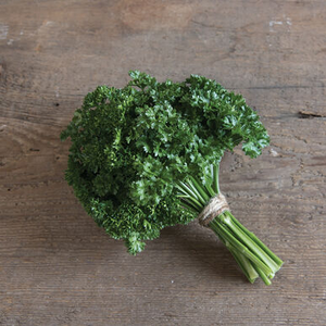 Moss Curled Parsley