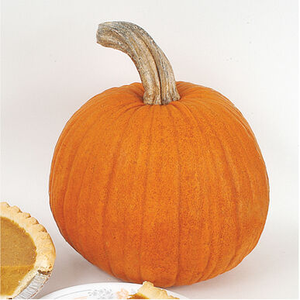 Winter Squash - New England Pie Pumpkin