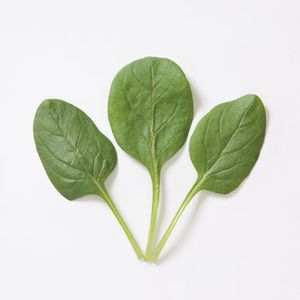 Spinach - Space