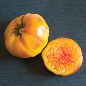 Heirloom - Striped German