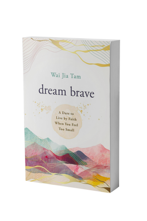Dream Brave: A Dare to Live by Faith when Your Feel Too Small