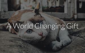 World Changer eCard: Cat
