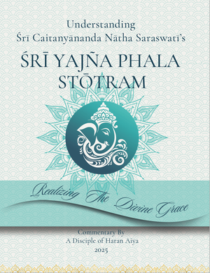 Yajna Phala Stotram(eBook - English)