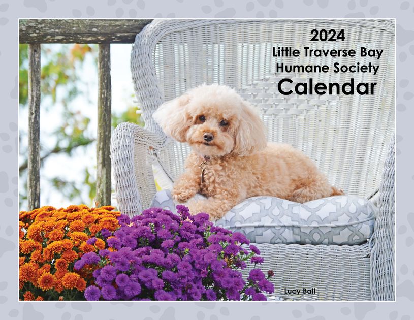 2024 LTBHS Calendar — Little Traverse Bay Humane Society